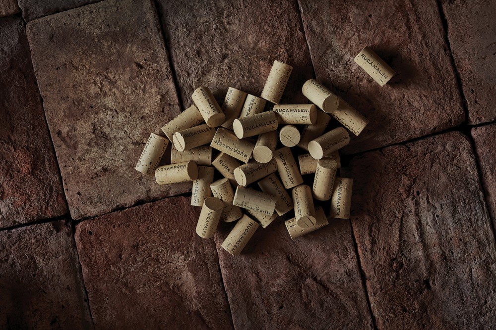 Ruca Malen viña image